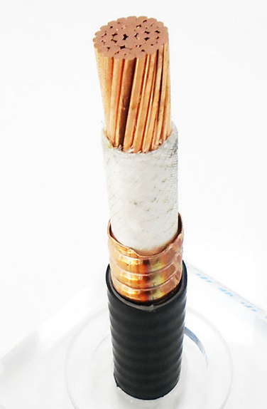 16539645961744.png image.png