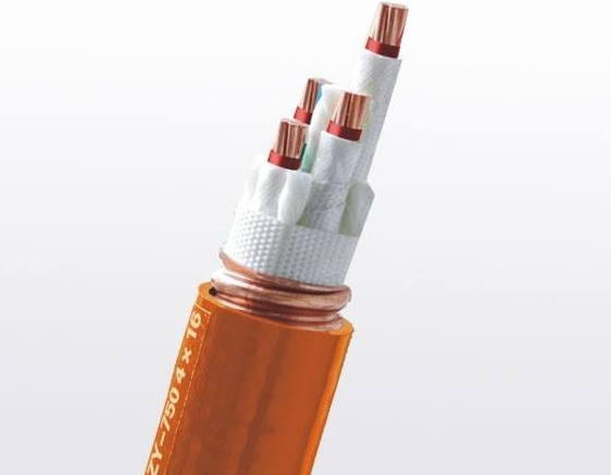 16545027341636.png image.png