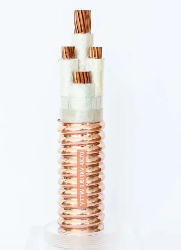 16550870411423.png image.png