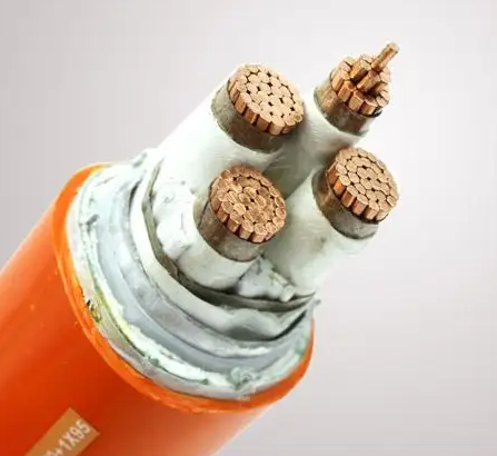 16556991356198.png image.png