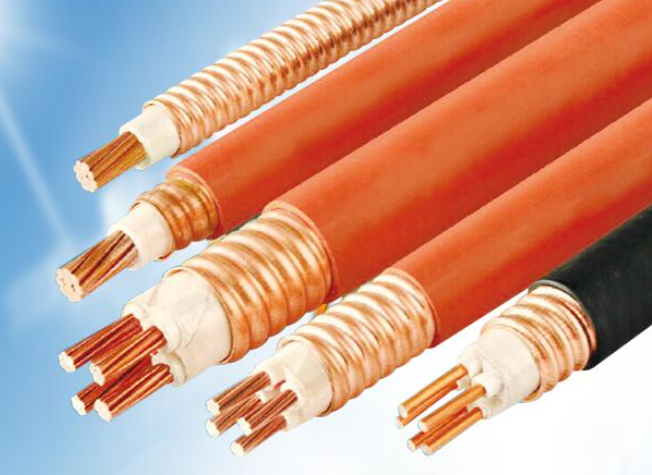 16557927291013.png image.png