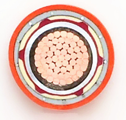 16559520125499.png image.png