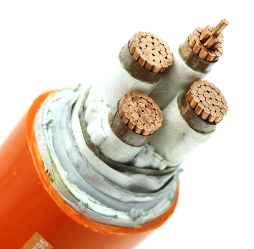 16562972131020.png image.png